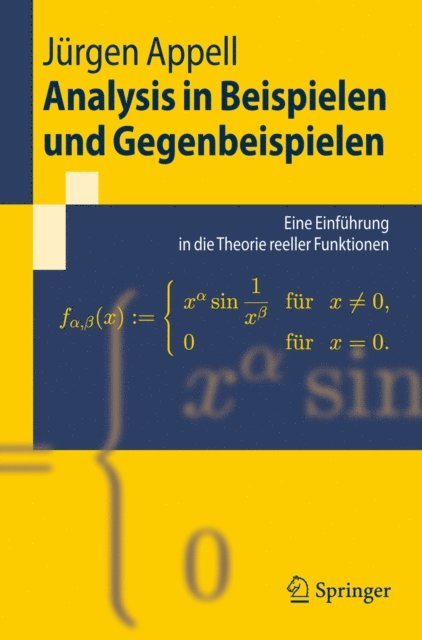 Jurgen Appell - Analysis in Beispielen und Gegenbeispielen, E-bok