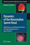 Dynamics of the Mammalian Sperm Head