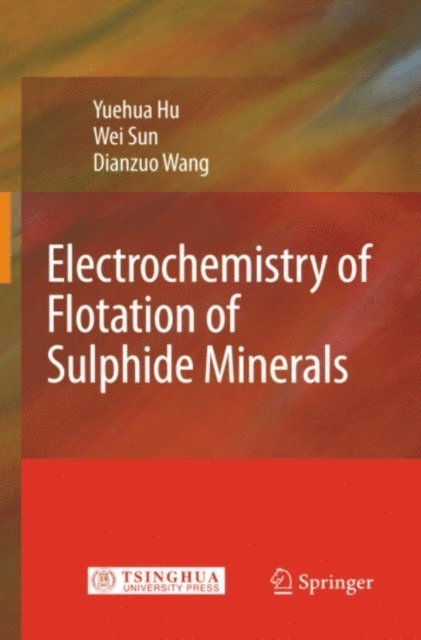 Dianzuo Wang, Wei Sun, Yuehua Hu - Electrochemistry of Flotation of Sulphide Minerals, E-bok