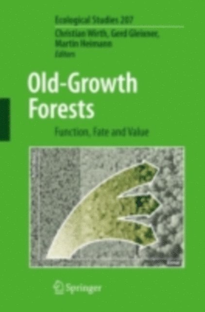 Martin Heimann, Gerd Gleixner, Christian Wirth - Old-Growth Forests, E-bok