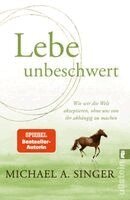 Michael A. Singer - Lebe unbeschwert, Häftad