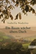 Ein Baum w�chst �bers Dach