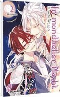 Sakuhiro - In mondheller Nacht 2 - Drachenregen, Häftad