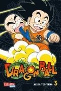 Dragon Ball Massiv 3