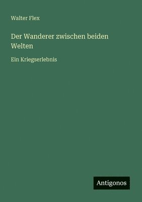 Walter Flex - Wanderer zwischen beiden Welten, Häftad