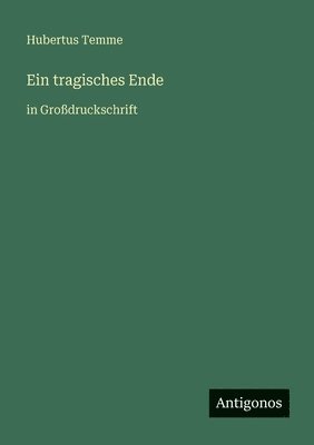 Hubertus Temme - tragisches Ende, Häftad