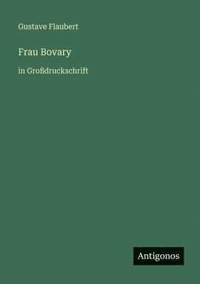 Gustave Flaubert - Frau Bovary, Häftad