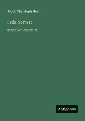 Jakob Christoph Heer - Felix Notvest, Häftad
