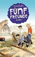 F�nf Freunde im Nebel