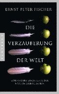 Die Verzauberung der Welt