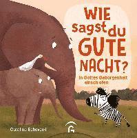 Catalina Echeverri - Wie sagst du Gute Nacht?, Inbunden