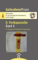Sigrun Welke-Holtmann - 13. Sonntag nach Trinitatis bis Totensonntag, Häftad