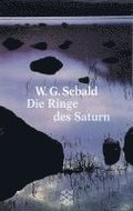 Die Ringe des Saturn