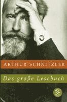 Arthur Schnitzler - Das grosse Lesebuch, Häftad