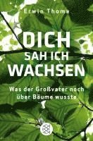 Dich sah ich wachsen