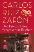 Der Friedhof der vergessenen Bcher