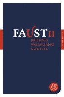 Johann Wolfgang von Goethe - Faust II, Häftad