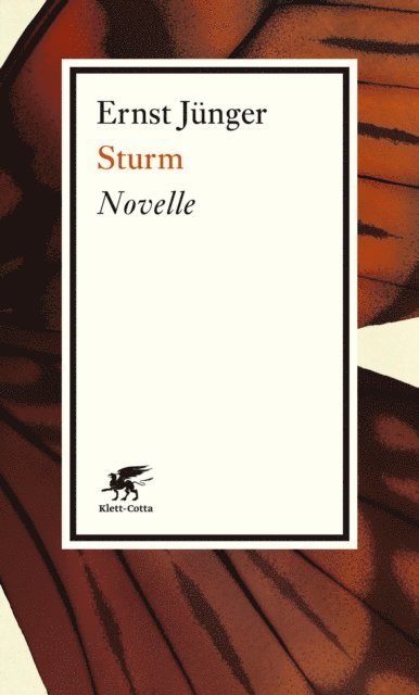 Ernst Junger - Sturm, E-bok