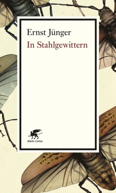 Ernst Junger - In Stahlgewittern, E-bok