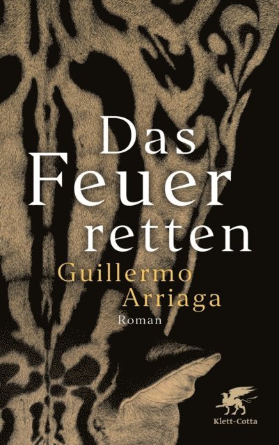 Guillermo Arriaga - Das Feuer retten, E-bok