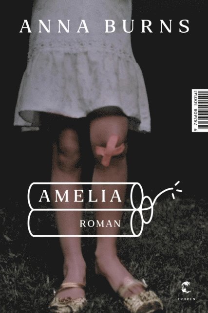 Anna Burns - Amelia, E-bok