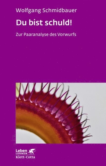 Wolfgang Schmidbauer - Du bist schuld! (Leben Lernen, Bd. 315), E-bok