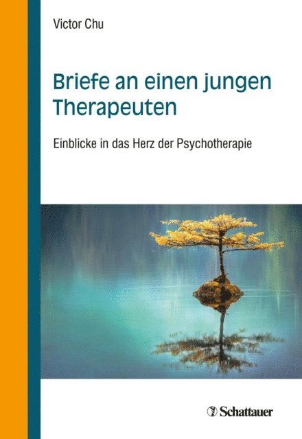 Victor Chu - Briefe an einen jungen Therapeuten, E-bok