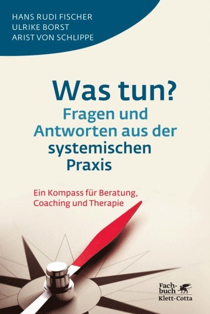 Arist von Schlippe, Ulrike Borst, Hans Rudi Fischer - Was tun? Fragen und Antworten aus der systemischen Praxis, E-bok