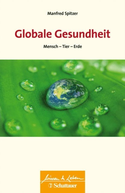 Manfred Spitzer - Globale Gesundheit (Wissen & Leben), E-bok