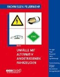 Unf�lle mit alternativ angetriebenen Fahrzeugen