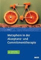 Norbert Lotz - Metaphern in der Akzeptanz- und Commitmenttherapie, Övrigt