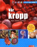 Vr kropp Organ System Funktioner