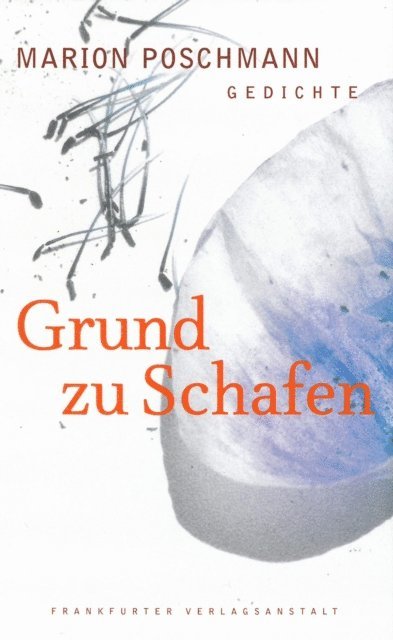 Marion Poschmann - Grund zu Schafen, E-bok