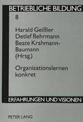Organisationslernen Konkret
