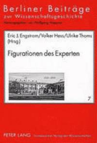 Figurationen Des Experten
