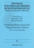 Understanding University Organizational Culture