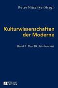 Kulturwissenschaften der Moderne
