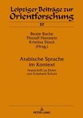 Arabische Sprache im Kontext
