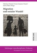 Migration und sozialer Wandel