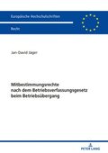 Mitbestimmungsrechte Nach Dem Betriebsverfassungsgesetz Beim Betriebsuebergang