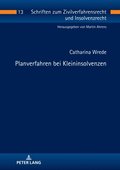 Planverfahren bei Kleininsolvenzen