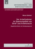 Arbeitnehmer im Spannungsfeld von Straf- und Arbeitsrecht