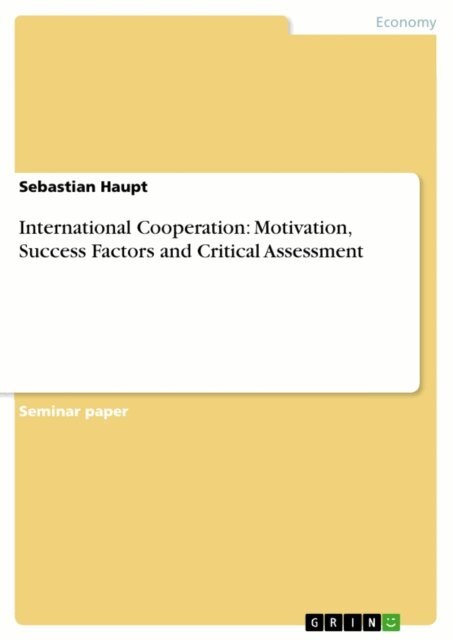 Sebastian Haupt - International Cooperation: Motivation, Success Factors and Critical Assessment, E-bok