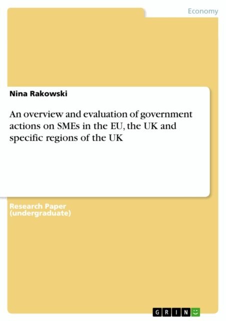 Nina Rakowski - overview and evaluation of government actions on SMEs in the EU, the UK and specific regions of the UK, E-bok