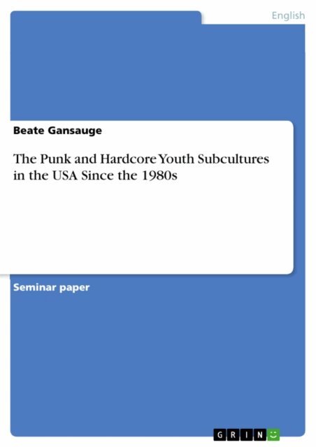 Beate Gansauge - Punk and Hardcore Youth Subcultures in the USA Since the 1980s, E-bok