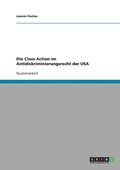 Class Action im Antidiskriminierungsrecht der USA