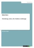 Shrinking Cities, the Hidden Challenge