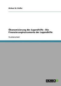 Ökonomisierung der Jugendhilfe - Die Finanzierunginstrumente der Jugendhilfe