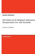 Die Turkei ALS Eu-Mitglied? Diskussionen, Kompromisse, VOR- Und Nachteile