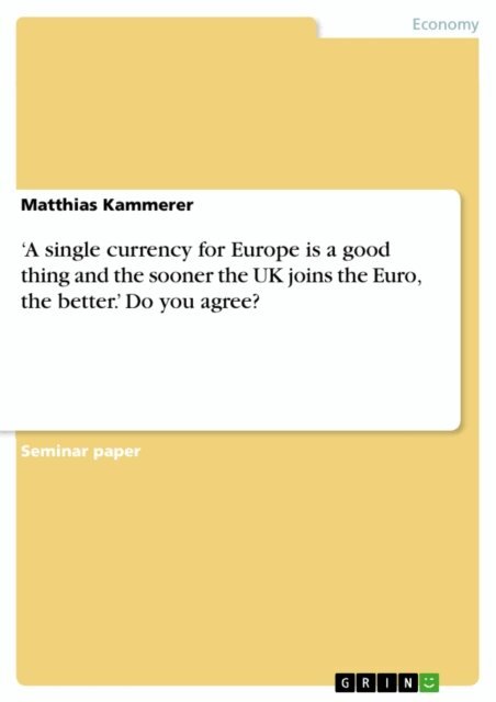 Matthias Kammerer - 'A single currency for Europe is a good thing and the sooner the UK joins the Euro, the better.' Do you agree?, E-bok